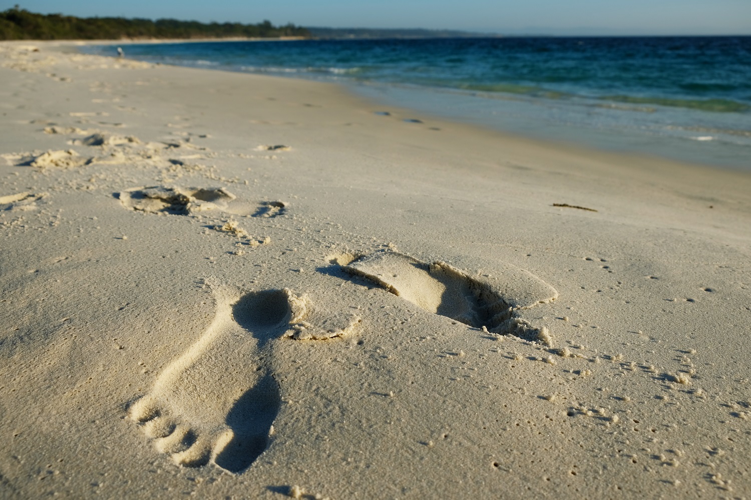 what to do in Jervis Bay