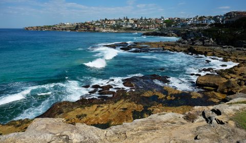 Coogee To Bondi Walk, The Best Coastal Walk In Sydney