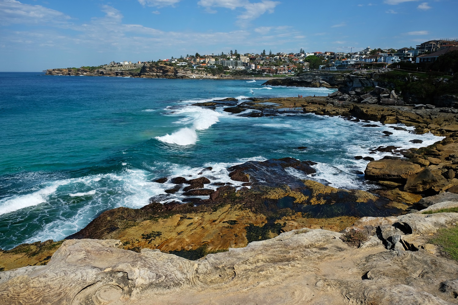 Coogee To Bondi Walk, The Best Coastal Walk In Sydney