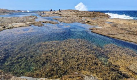 4 Amazing Natural Rock Pools On The Central Coast, New South Wales