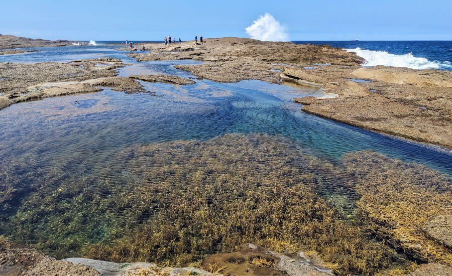 4 Amazing Natural Rock Pools On The Central Coast, NSW