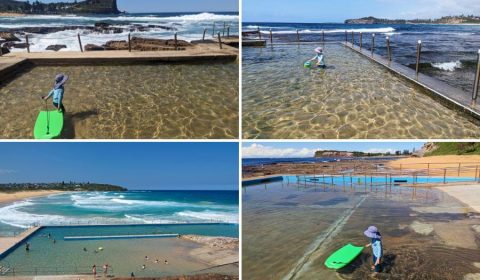 5 Best Kid-Friendly Rockpools On The Northern Beaches, Sydney