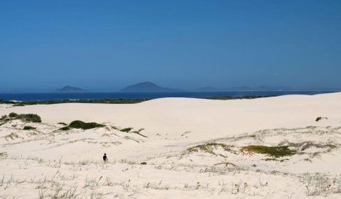 Trekking To Dark Point, Myall Lakes National Park, NSW