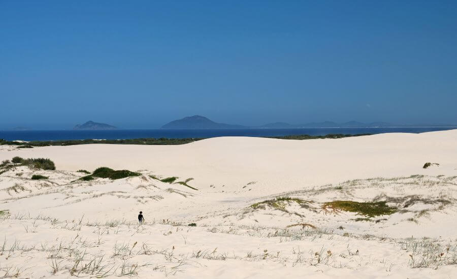 From Dunes To Deep Blue: Trekking To Dark Point, Myall Lakes National Park