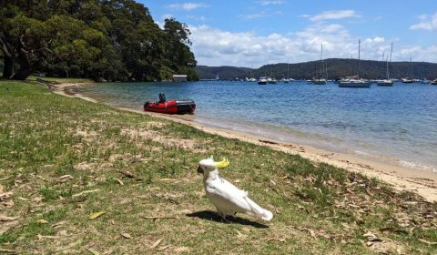 Which Are The Most Sheltered Bays On The Northern Beaches?