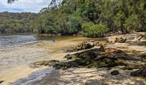 Best Things To Do In Garigal National Park: Sydney's North Shore Gem