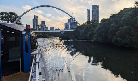 Parramatta Ferry With Kids