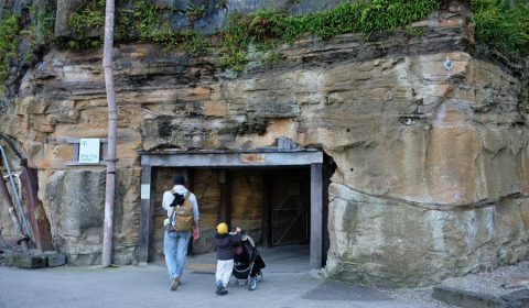 Cockatoo Island With Kids