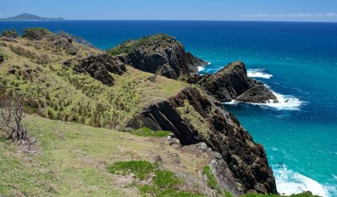 25 Best Short Coastal Walks in NSW – Easy, Scenic & Unforgettable