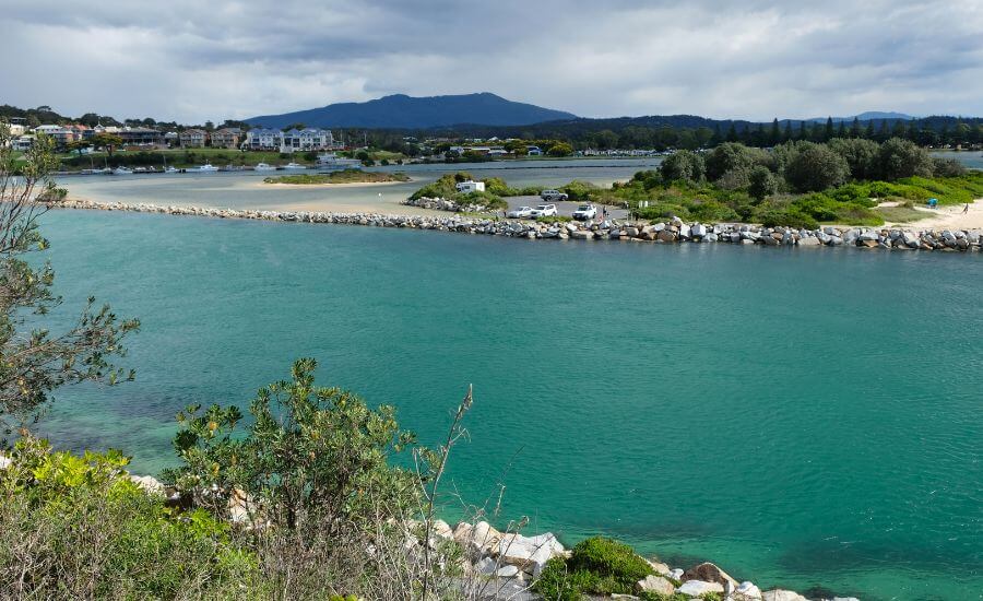 What To Do In Narooma: Seals, Beaches & Scenic Trails