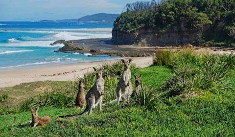 Fun Things To Do in Batemans Bay With Kids