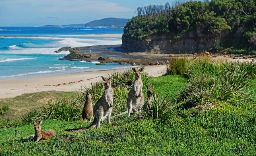 10 Fun Things To Do in Batemans Bay With Kids