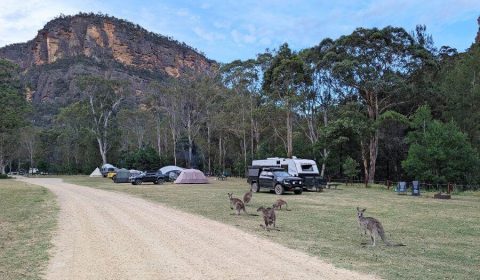 Best Blue Mountains Camping Guide: Campgrounds, Costs & Family Tips
