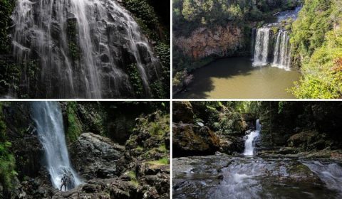 Waterfall Way Road Trip Guide