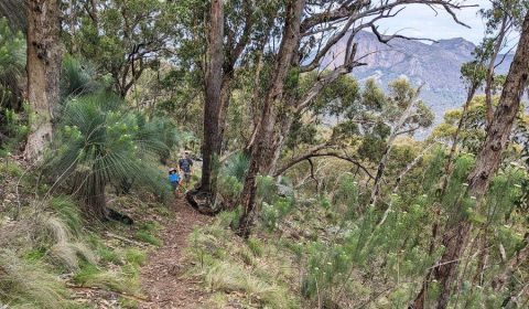 Warrumbungle National Park Itinerary