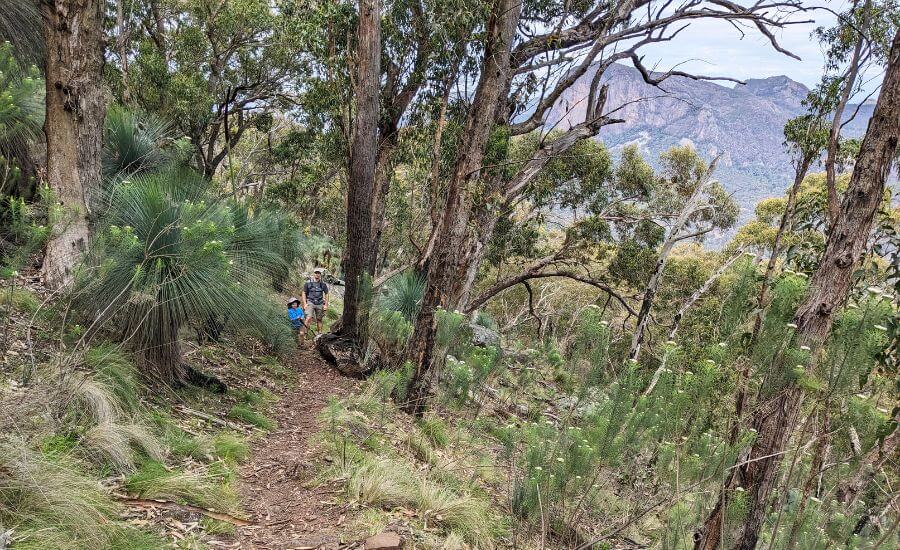 Warrumbungle National Park Itinerary